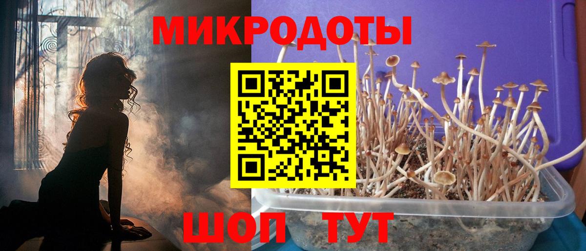 Галлюциногенные грибы Cubensis  Вход с VPN  где можно купить   Полевской 