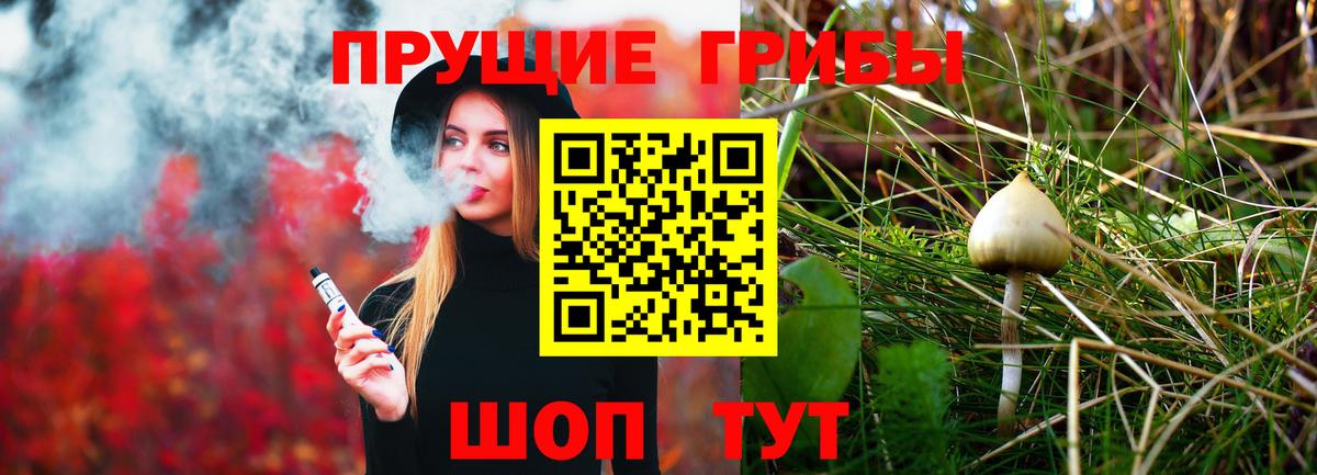 Псилоцибиновые грибы Cubensis Полевской